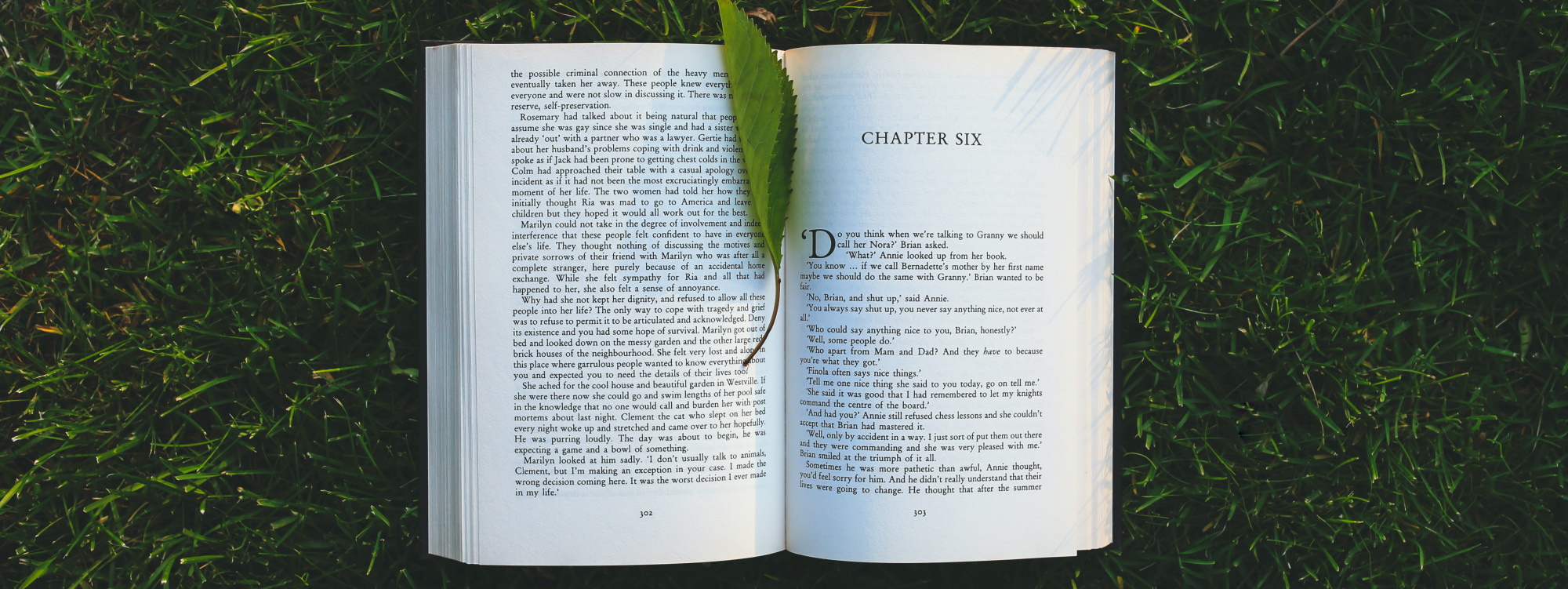 A book laying open on grass